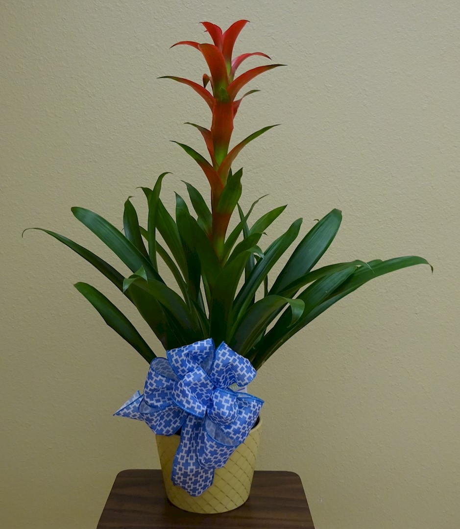 Flowers from Family