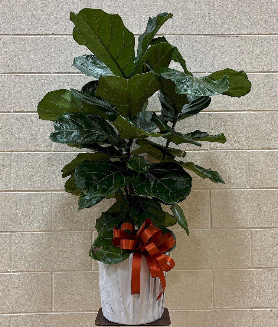 Flowers from Lyndy; Wes and Nicki; Vint and Amy and Families