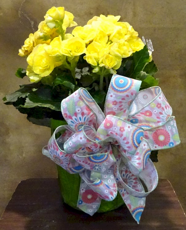 Flowers from Dakota Country Pharmacy