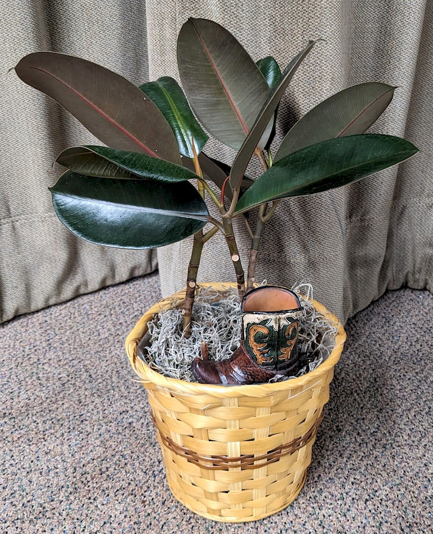Flowers from The Shull's: Jennifer, Chloe, Jack, Charlotte, and Clyde