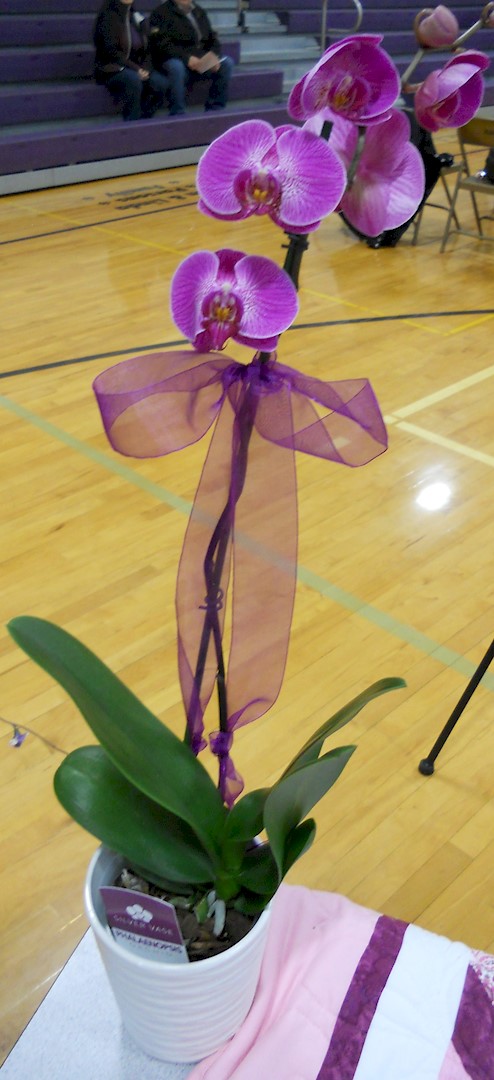 Flowers from New Underwood School Staff