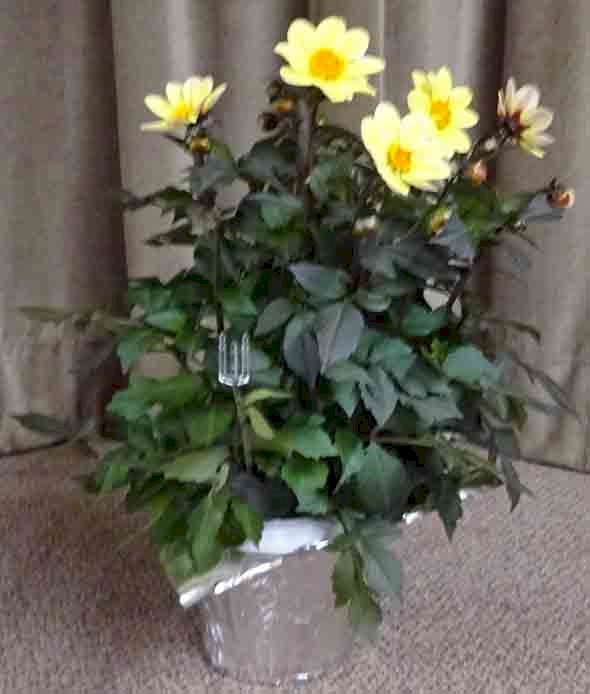 Flowers from Jay and Mary Smith