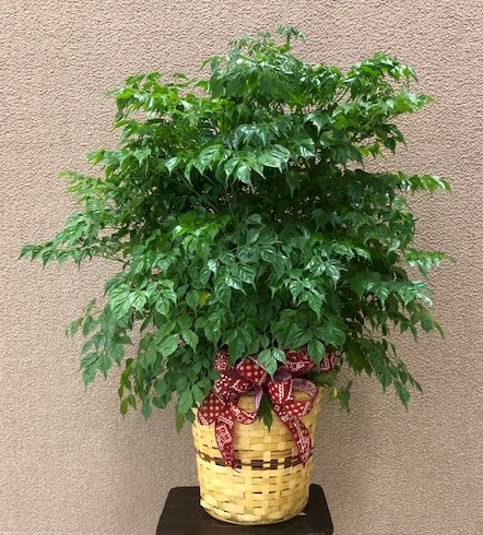 Flowers from Your family and friends at Wall Meat and Red Rock