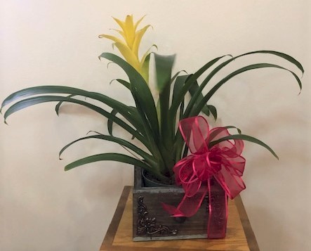 Flowers from Muriel and Jeremy Nehl