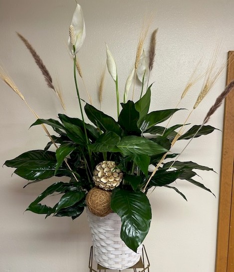 Flowers from Debbie and Ted; Sue and Bill; Harla and Bob - "Margie's Girls"