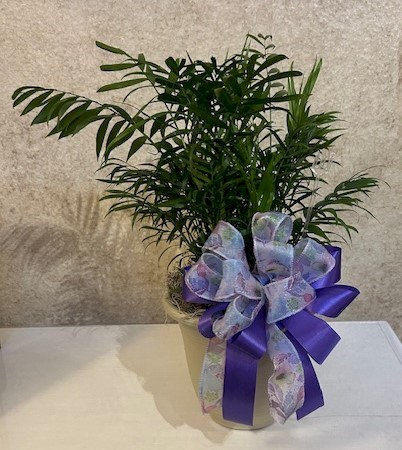 Flowers from Wall Economic Development