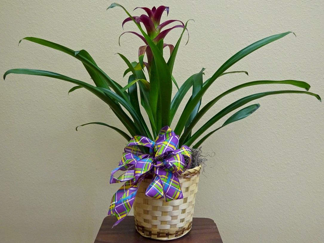 Flowers from KBHB Radio