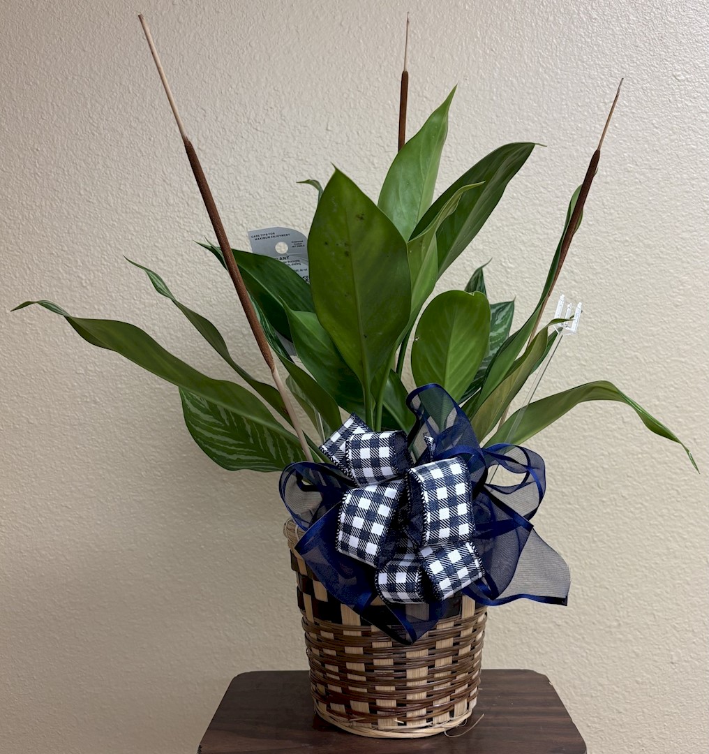 Flowers from The Linn and Kirschenmann Families