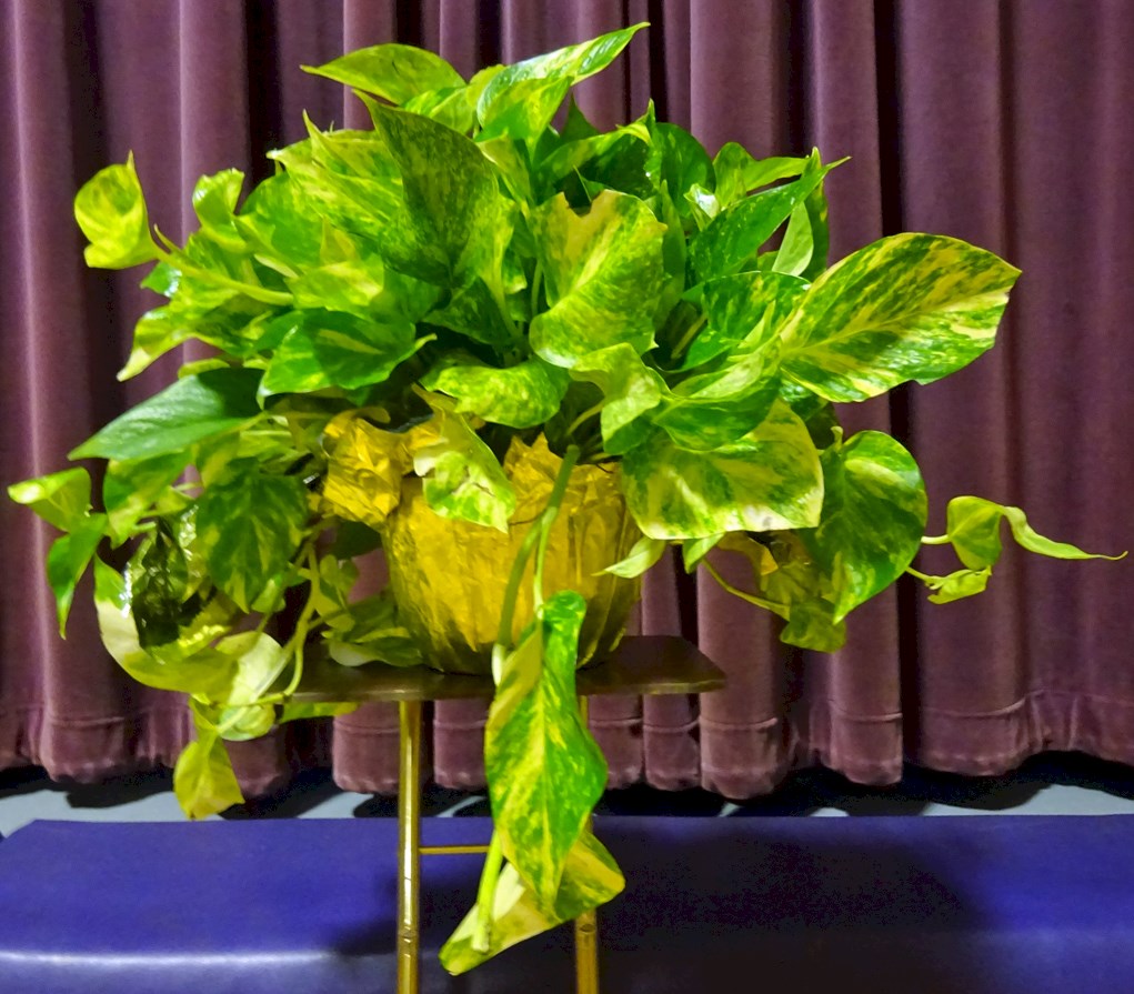 Flowers from Kadoka Nursing Home Board of Directors, Staff, and Residents