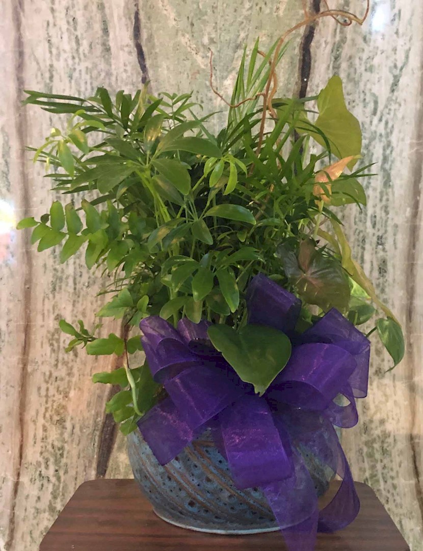 Flowers from Echo Ridge Staff
