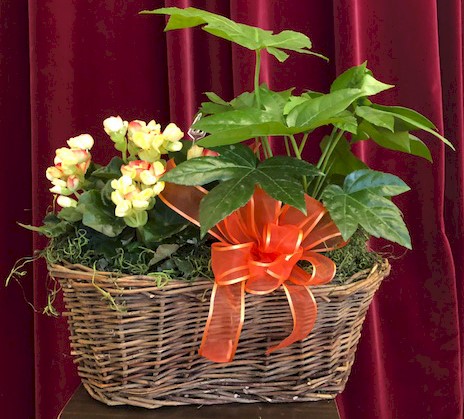 Flowers from Stan and Marlene Johnson, Matt and Amy Christopherson & Family, Daren and Dani Johnson & Family, and Mavis Haines