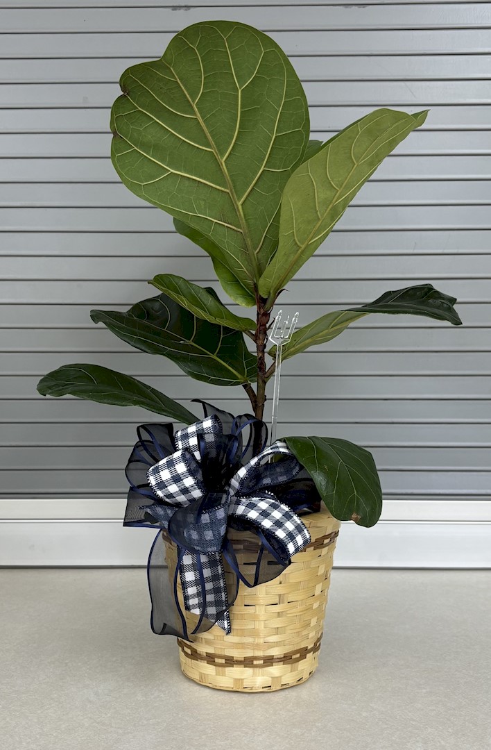 Flowers from Dakota Country Pharmacy