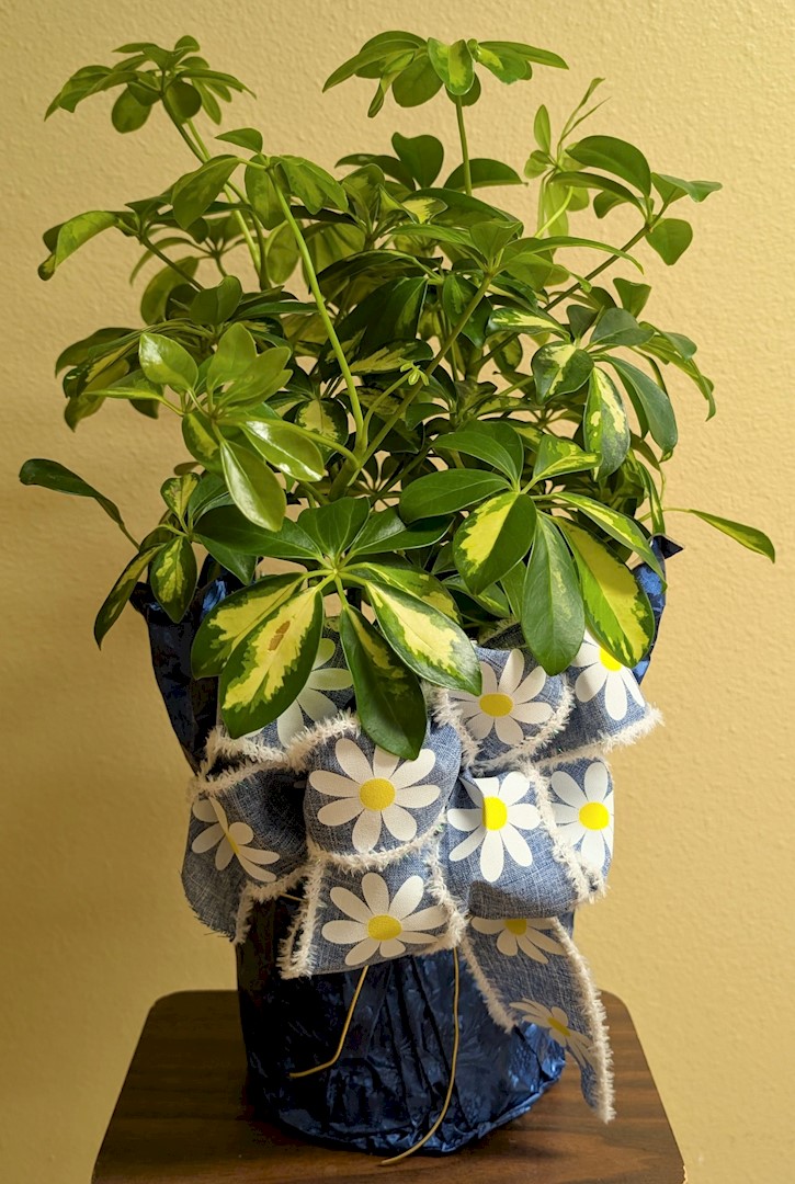 Flowers from The Petoske Family
