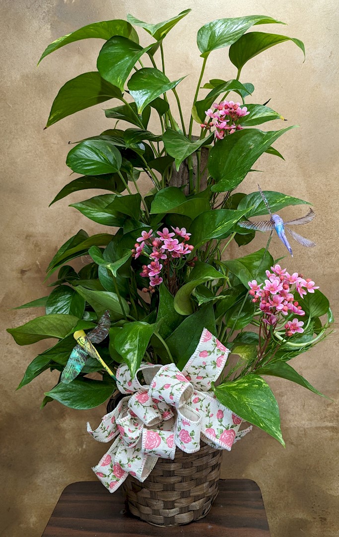 Flowers from Minda Bonhorst; Amy Sather; Jaci and Jeri Bonhorst; Audra Bonhorst; and Mary Bonhorst