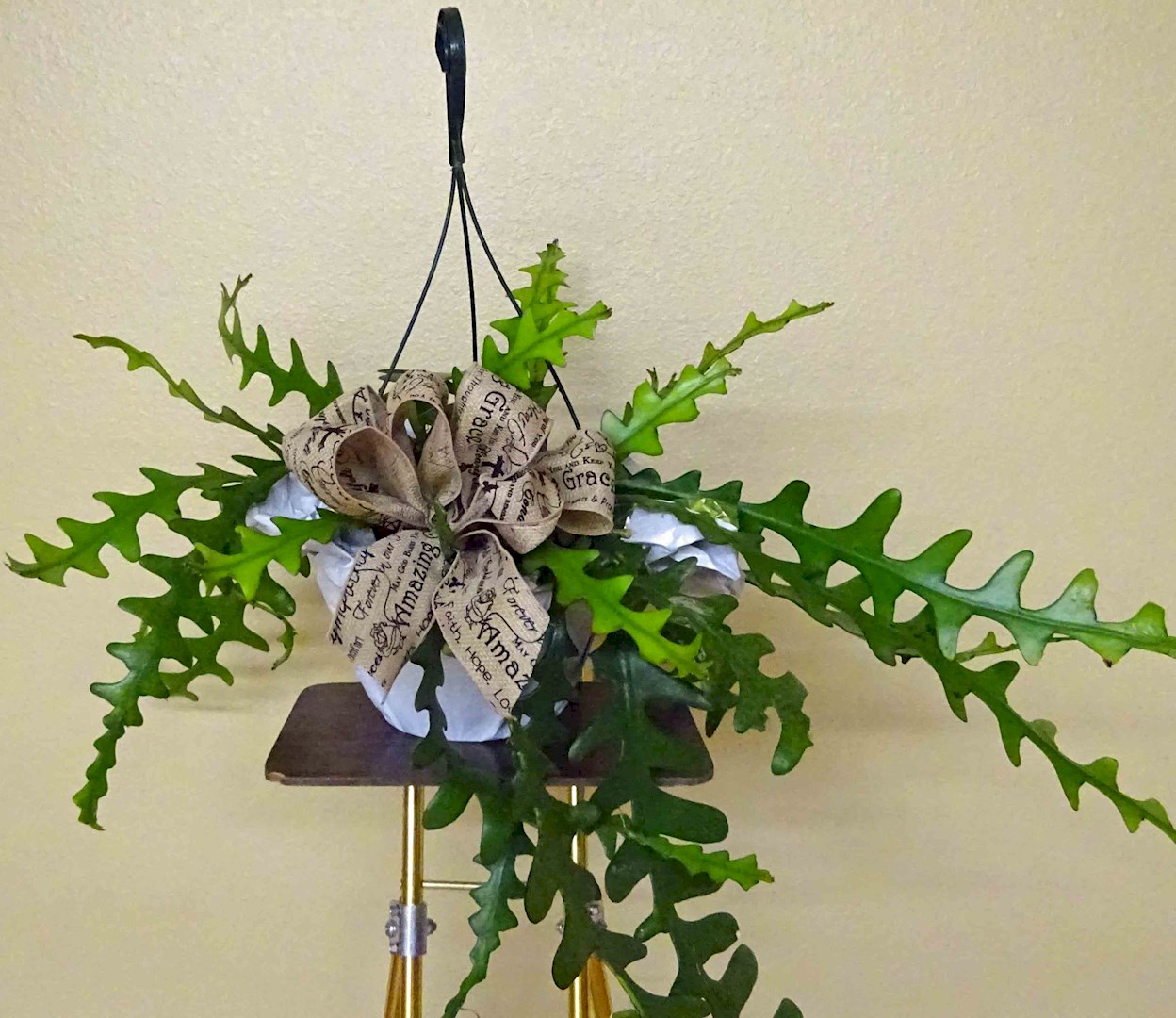Flowers from Kadoka Nursing Home Residents, Staff & Board of Directors