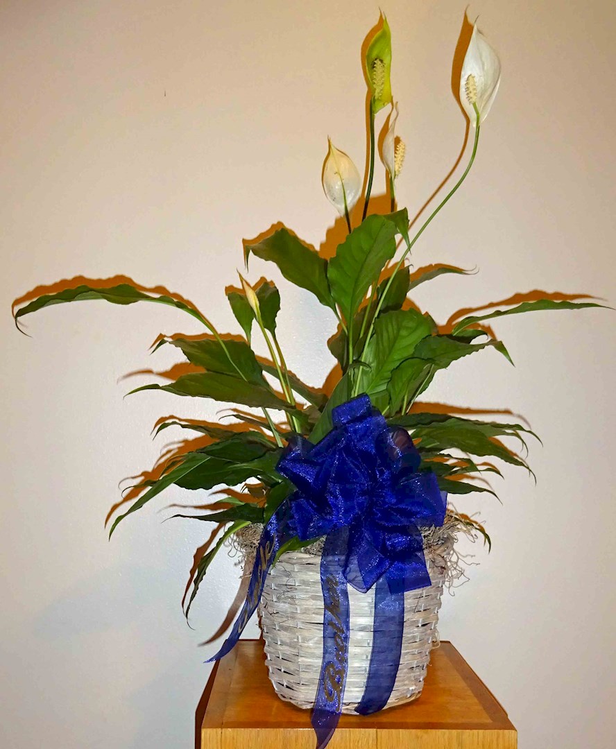 Flowers from Kay & Jack; Keith & Tate; Alenda, Doug, & Eunice
"Uncle"
"Brother"