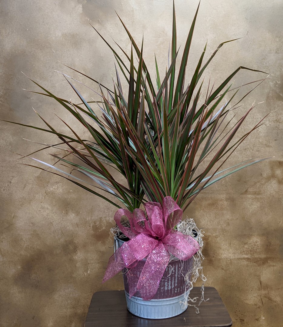 Flowers from Cattle Business Weekly