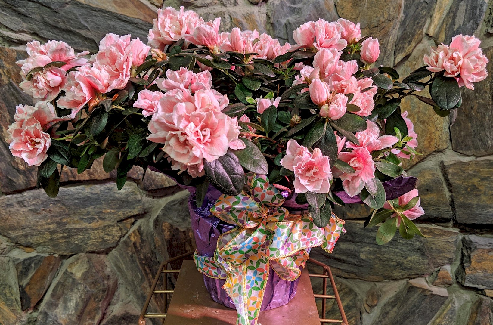 Flowers from Glen David Hostutler Family