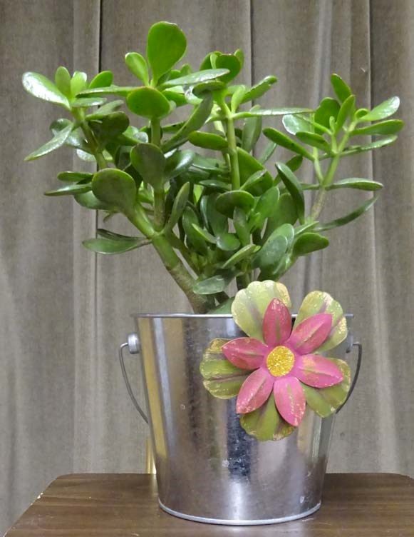 Flowers from Brooke Formanek