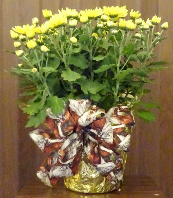 Flowers from Tony, Holly, and Family