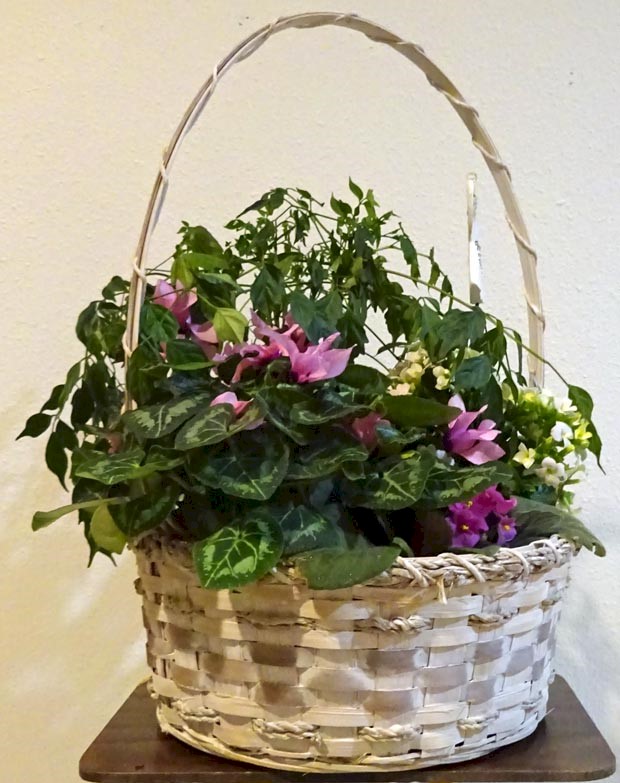 Flowers from LaCreek Electric Directors, Staff, and Employees