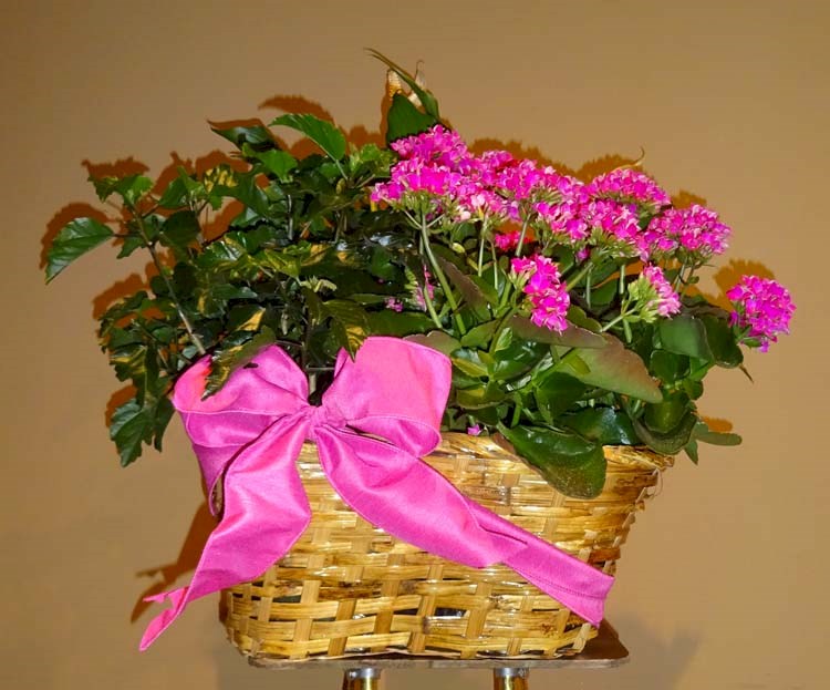 Flowers from Fountain Springs Church