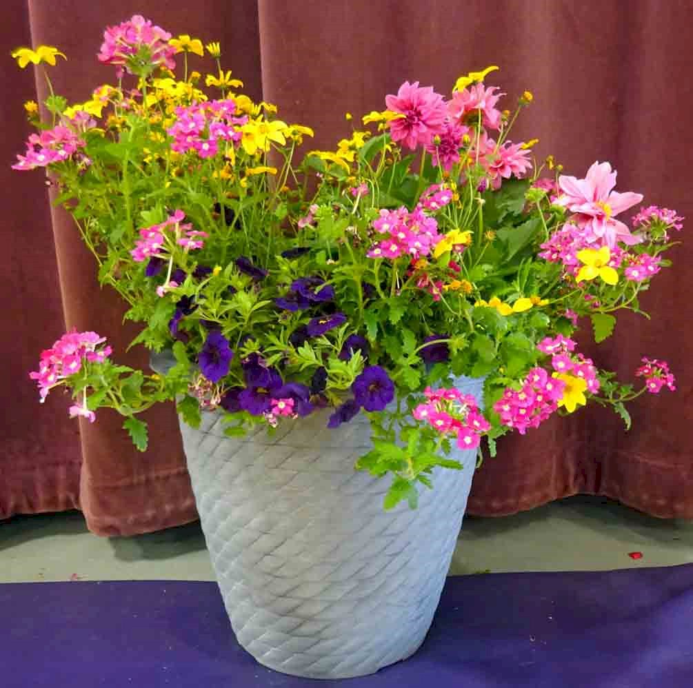 Flowers from The Stone Family