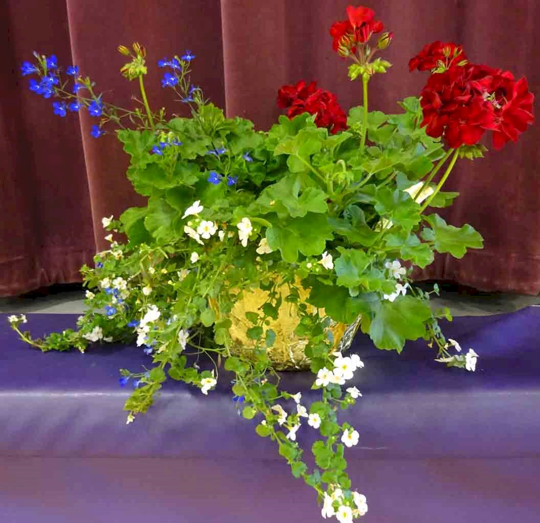 Flowers from Kim and Bonnie