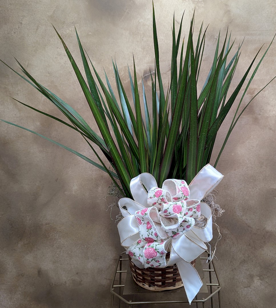 Flowers from Dakota Country Pharmacy