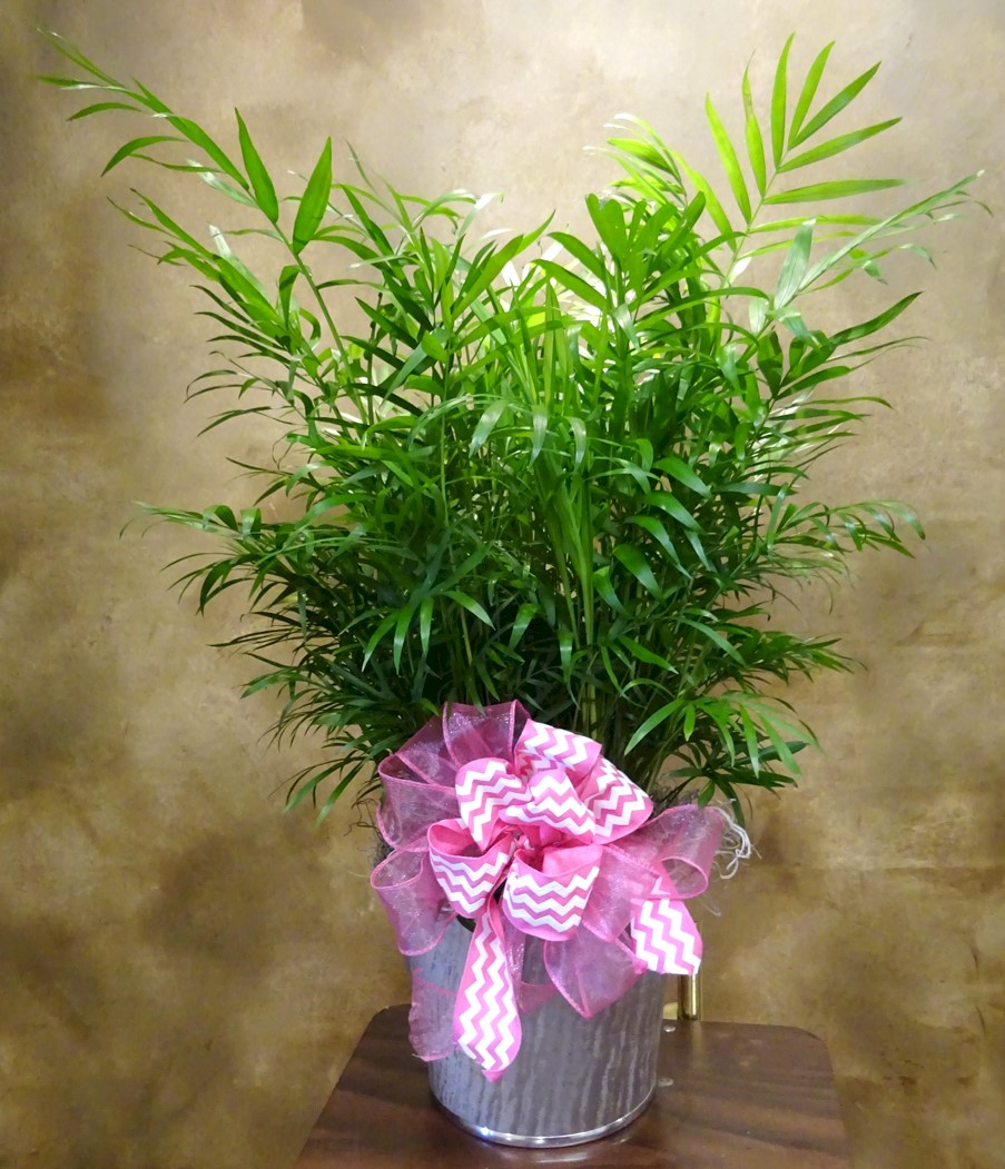 Flowers from Philip Health Service TLC and Board of Directors