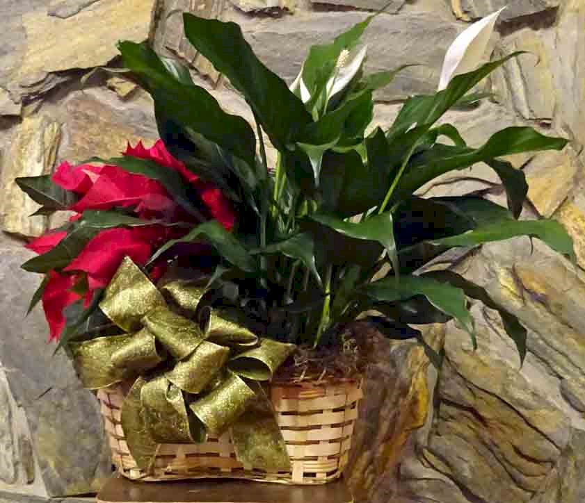 Flowers from Marj, Phyllis & Kelly, Tracy & Renee, Troy & Carla, and Families