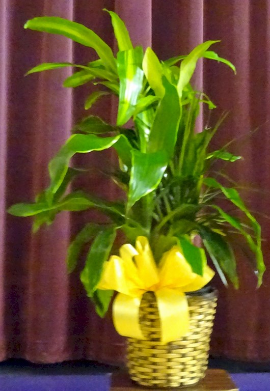 Flowers from KHS Class of '92