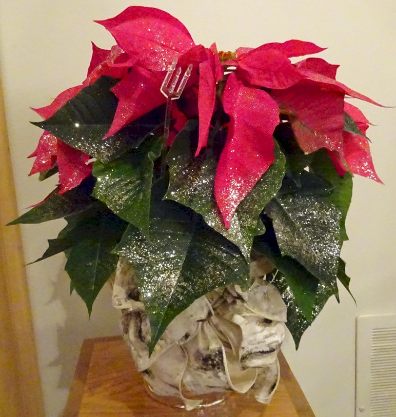 Flowers from Lila and Susie Kjerstad/Radigan Families