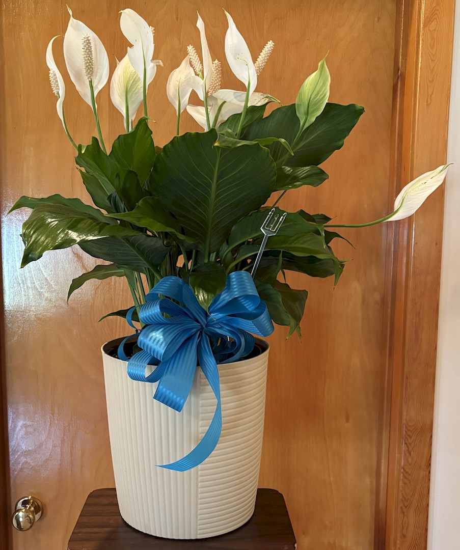 Flowers from PHS Rehab Team