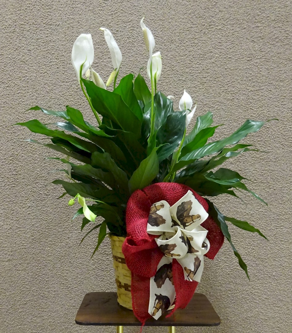 Flowers from The Zastrow's and Hartigan's
