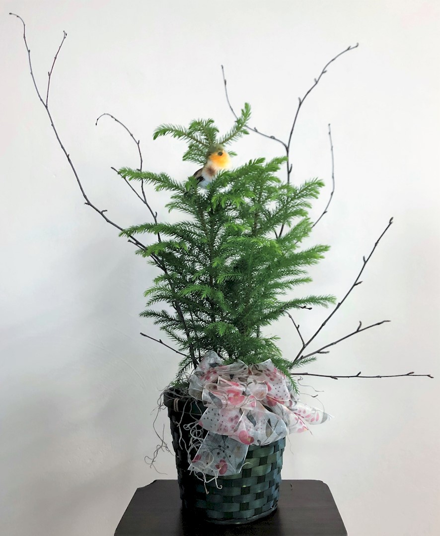 Flowers from Family