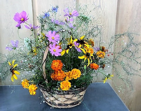 Flowers from Wanda Larson