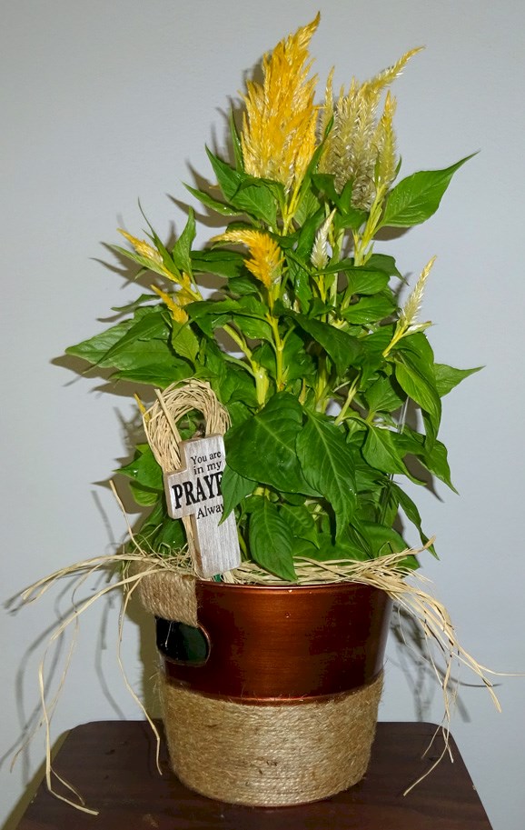 Flowers from Gran Auction Service