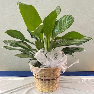 Flowers from Dakota Country Pharmacy