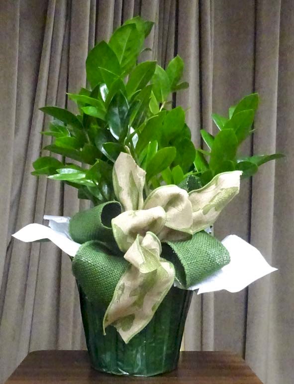 Flowers from Ryan and Kristin Reiner and our State Farm office