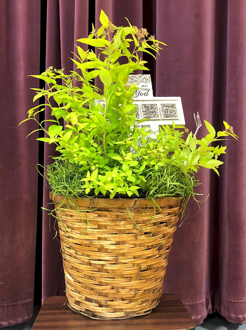 Flowers from CHS - Oneida Office