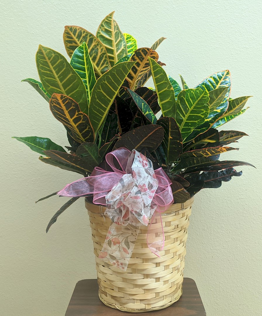 Flowers from HVAC Elements