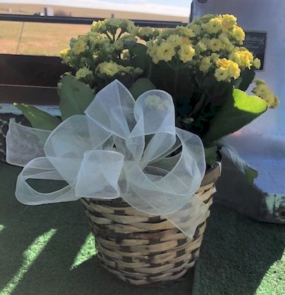 Flowers from Dakota Country Pharmacy