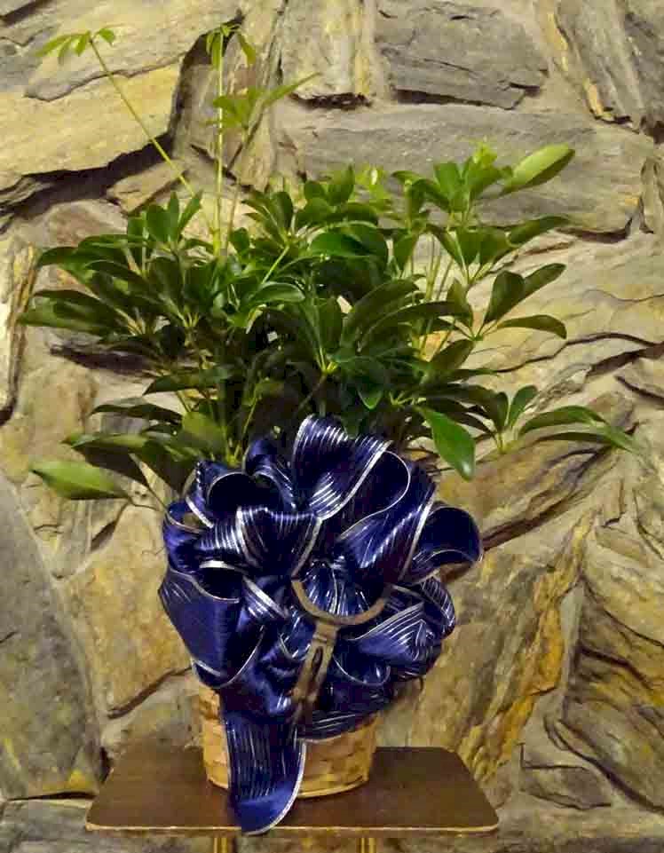Flowers from Suzy and Wayne Bartscher