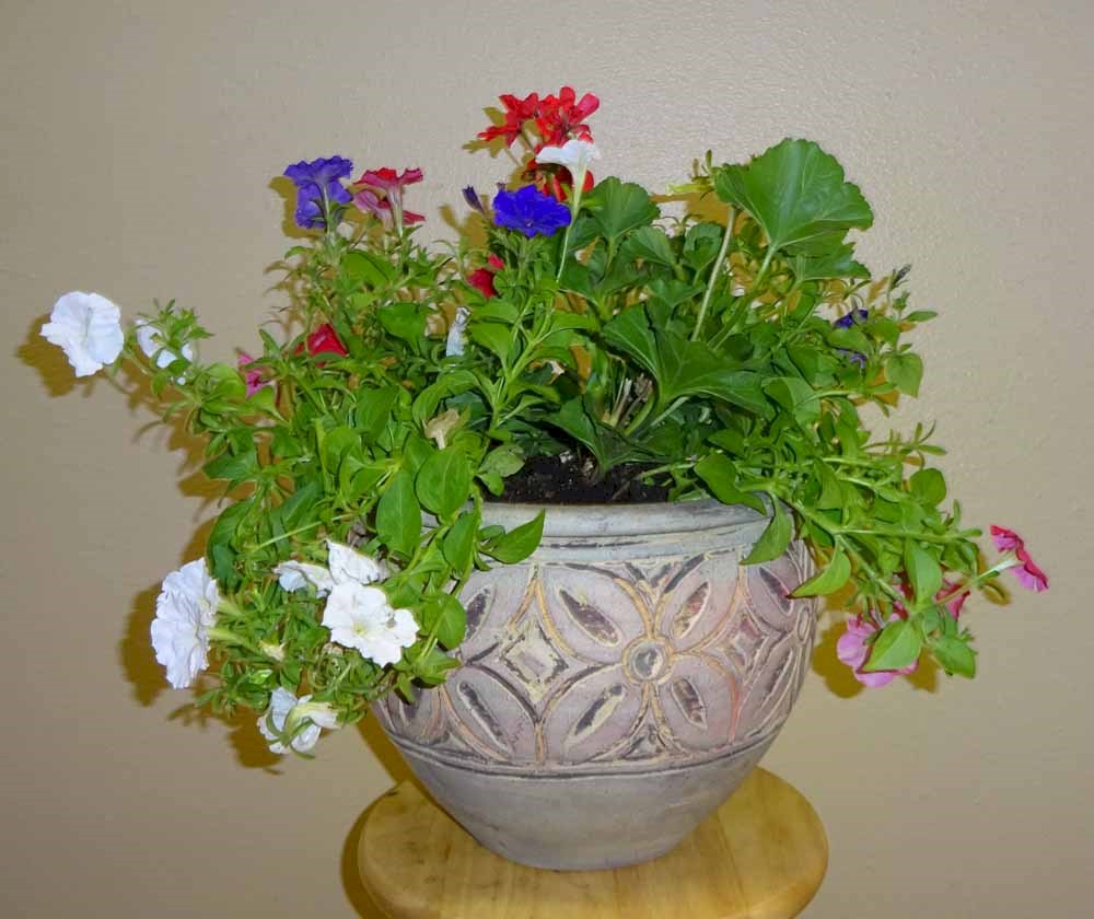 Flowers from Philip Area Wrestling