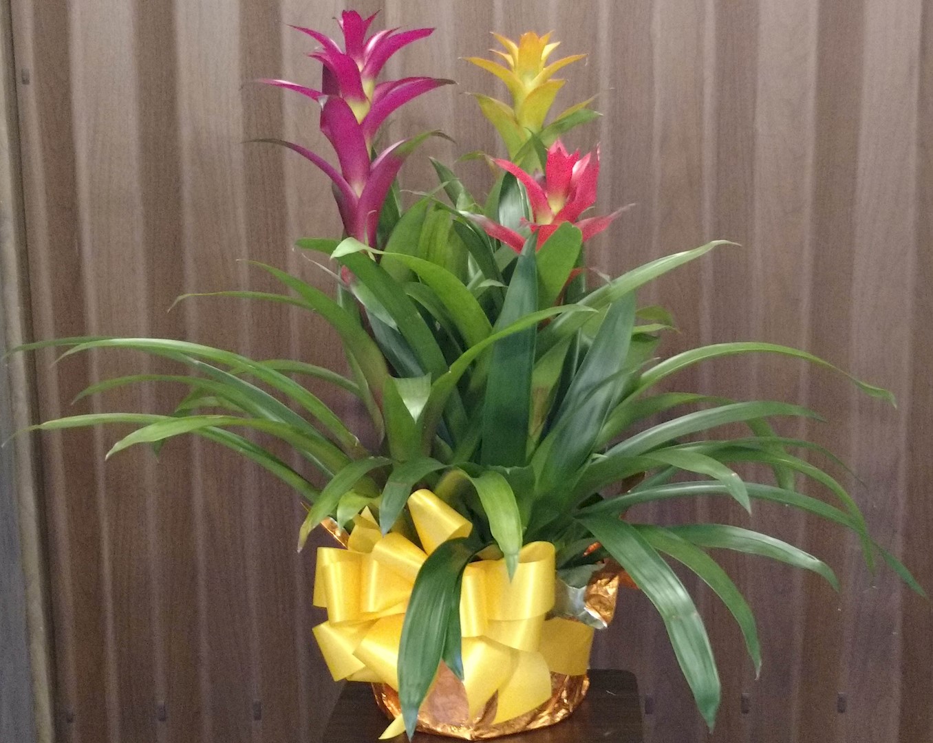 Flowers from Jim and Jean Johnson and Families