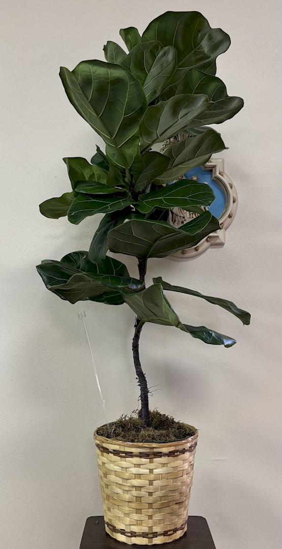 Flowers from Shayne, Heidi, Shaylee, and Haylee