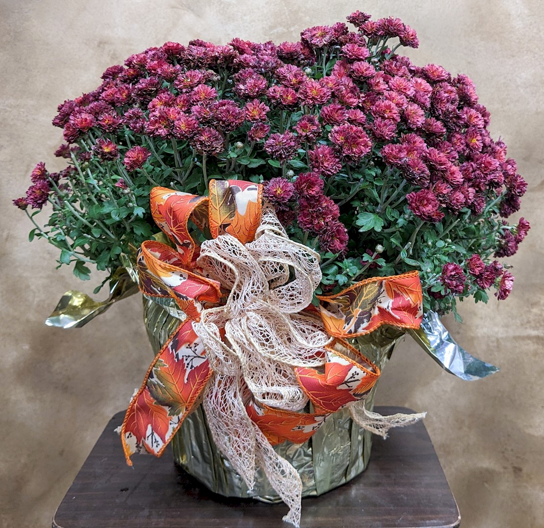 Flowers from Dakota County Pharmacy