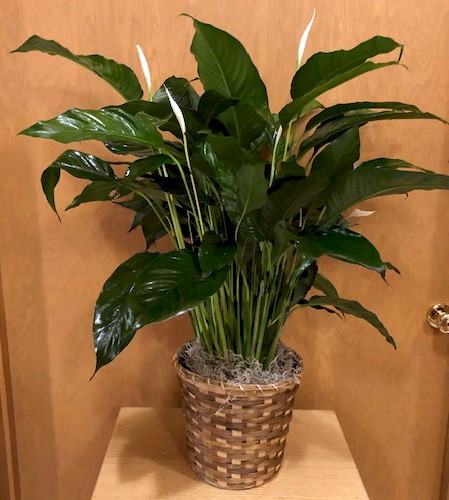 Flowers from Estes Express Lines