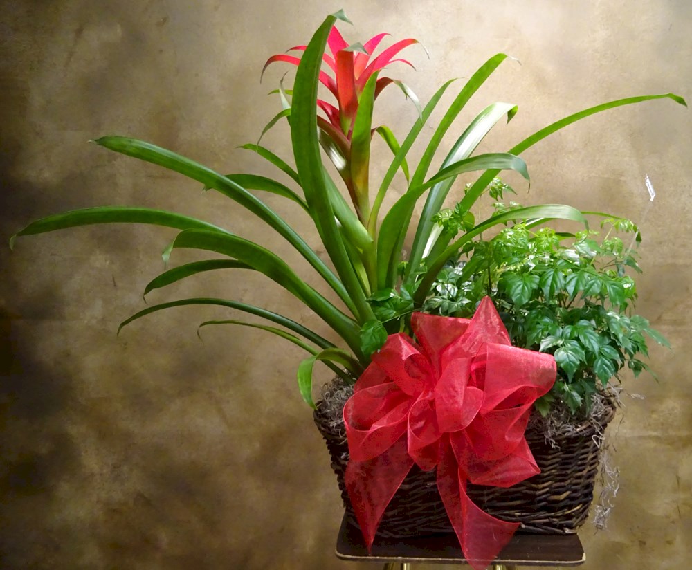 Flowers from Black Hills Area Dental - Dr. Bart Samuelson, Dr. Jeri Scranton, and Staff